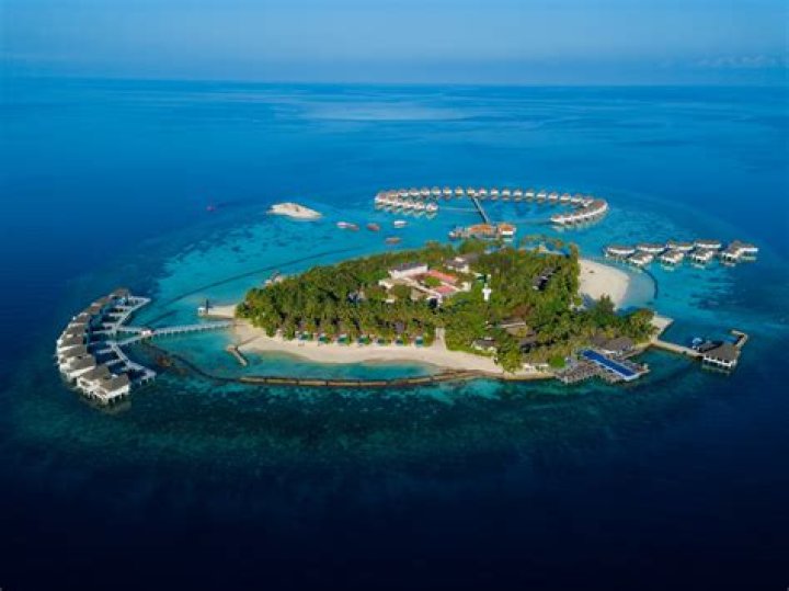 An Extraordinary Culinary Journey Awaits
