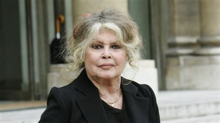 Brigitte Bardot's Son Now: A Look into the Life of Nicolas Bardot