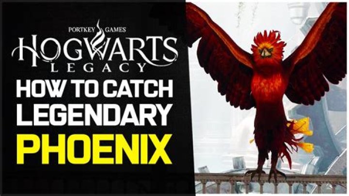 Can you find a second Phoenix Hogwarts?