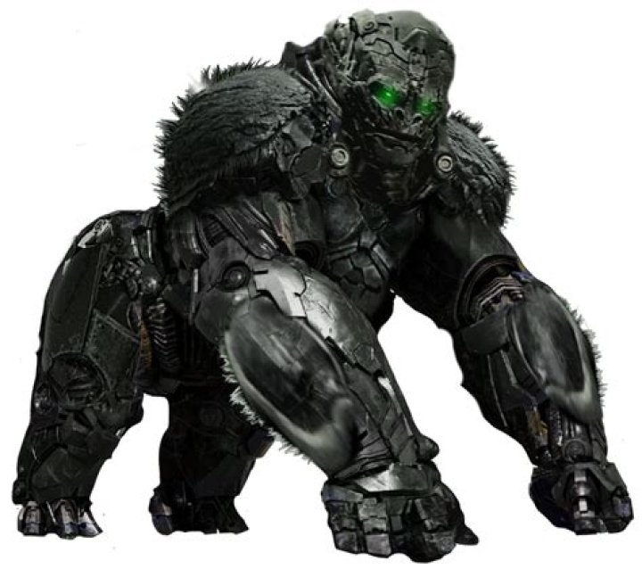 Darkzadie: The Rise of a Digital Icon in the Gaming World