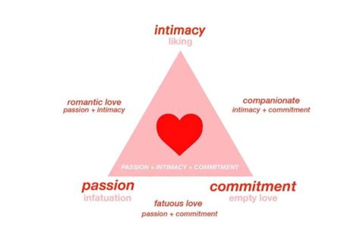 Discover Love, Passion, And Commitment