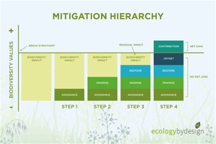 Discover The Impact And Mitigation Of Havoc Net Worth