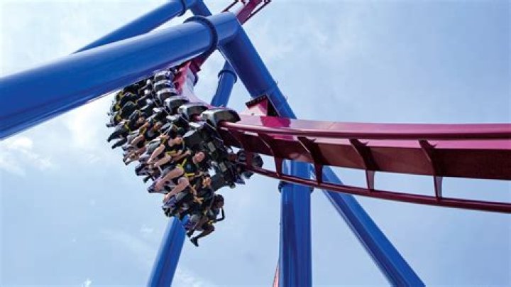 Discoveries And Insights Into The Fabio Goose Roller Coaster