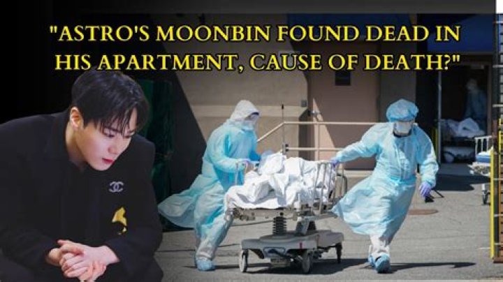Discoveries From The Moonbin Autopsy