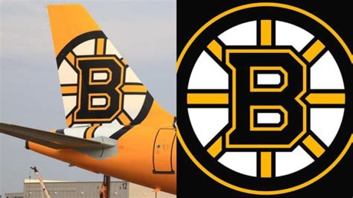 Do Boston Bruins have their own plane? Shedding light on 'Bear Force One'