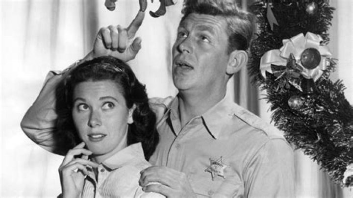 Elinor Donahue: A Journey Through the Life and Career of a Television Icon
