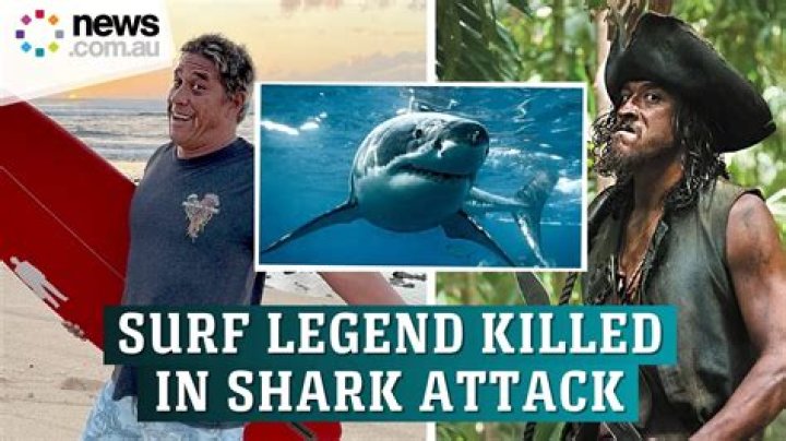 Exploring the Controversy: Shark.bae OnlyFans Leak