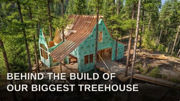 Exploring The Success Story Of The Treehouse Master