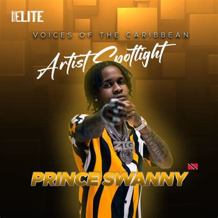 GleamVibe | Prince Swanny
