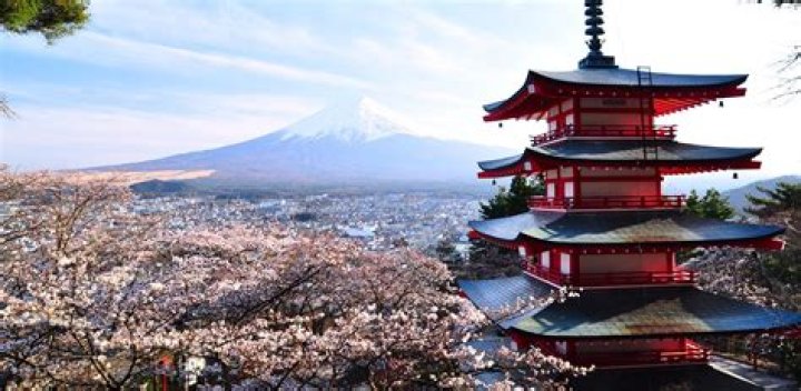 Hikaru Nagi: The Rising Star in the Japanese Entertainment Industry