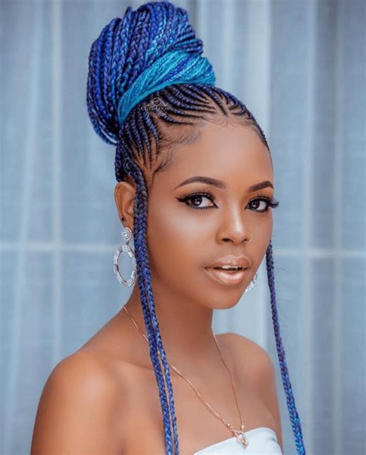 Jay Parks braided hair in DNA Remix video slammed as 'cultural appropriation'