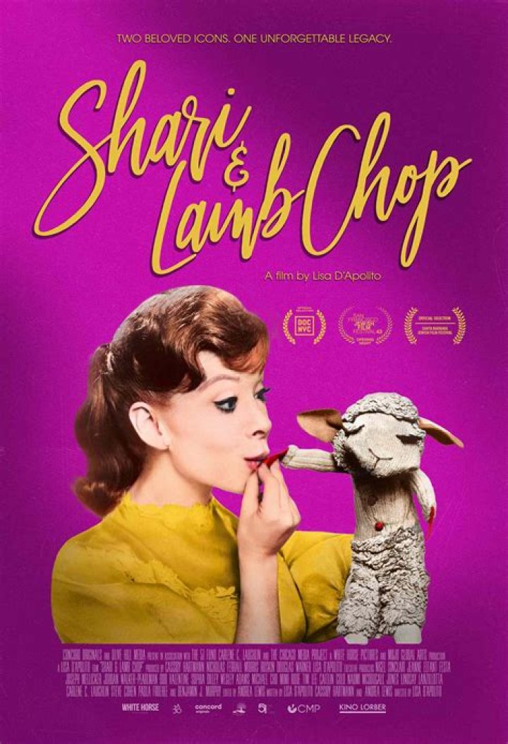 Shari Lewis - BlogPaper