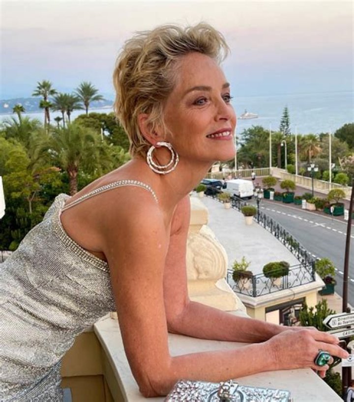 Sharon Stone Proves That We Can Still Rock a Bikini at 65, and Some People Spot a Curious Detail