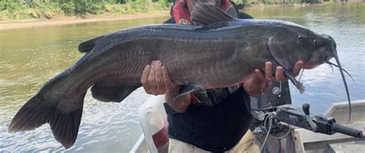 Six most incredible Catfish reveals that made us desperate to reel in more episodes