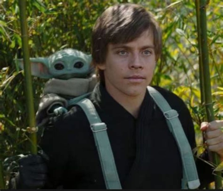 Star Wars Fans OUTRAGED: Producers Opt for Uncanny AI for Luke Skywalker Despite Having Found