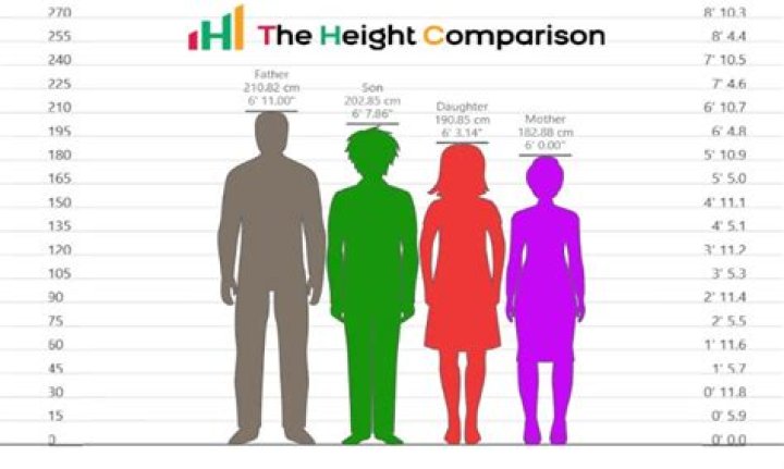 Steiny Height: Understanding the Influence of Height on Life and Career