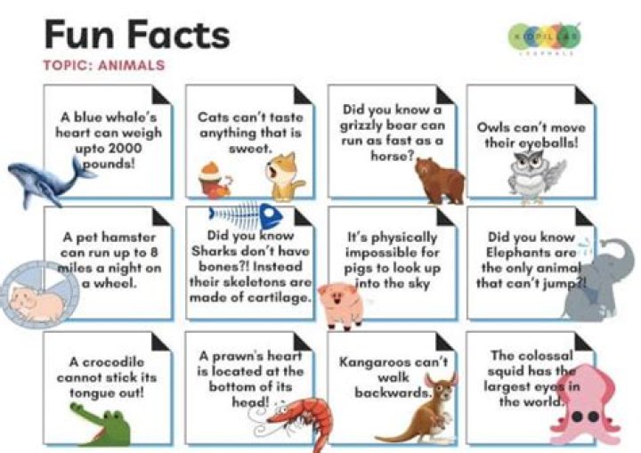Surprising Revelations And Fascinating Facts