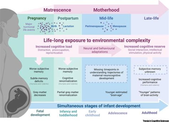 Tiny Texie Pregnant: A Journey Through Motherhood