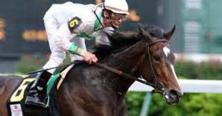 Todd Pletcher Net Worth Income