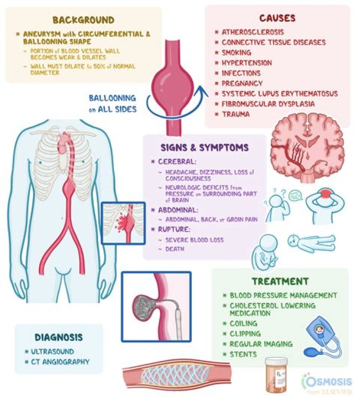Understanding Brialexia: Causes, Symptoms, and Treatment Options