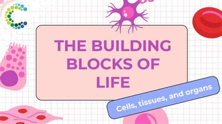 Unraveling The Building Blocks Of Life