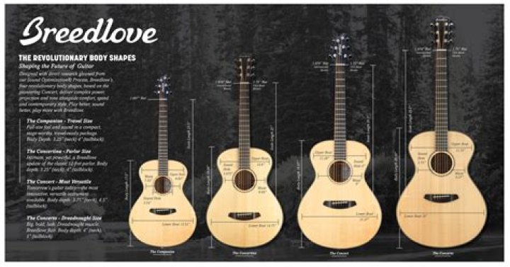 Unveiling The Fortune Of A Guitar Legend