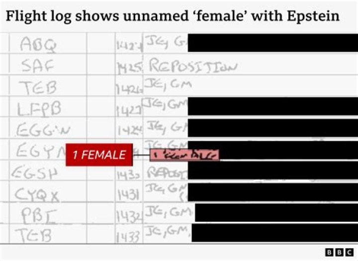 Unveiling The Secrets: Epstein's Flight Log Declassified