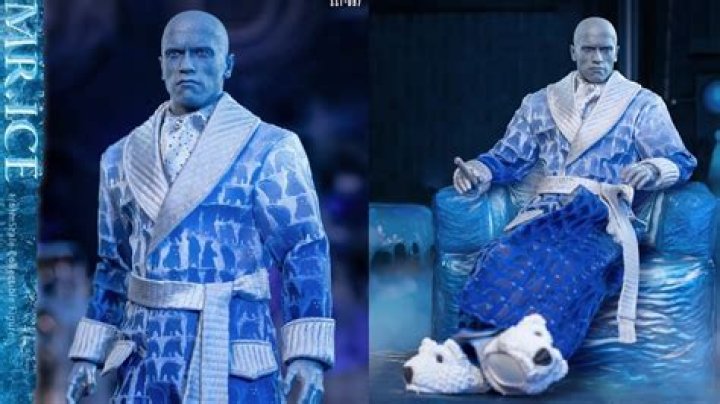 Unveiling The Secrets Of Mr. Freeze's Iconic Robe