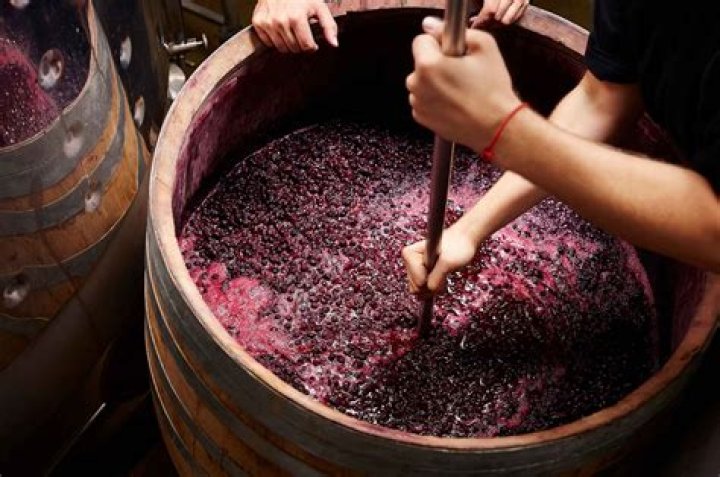 Unveiling The Winemaking Secrets Of Marshall Borden, The Father Of California Wine