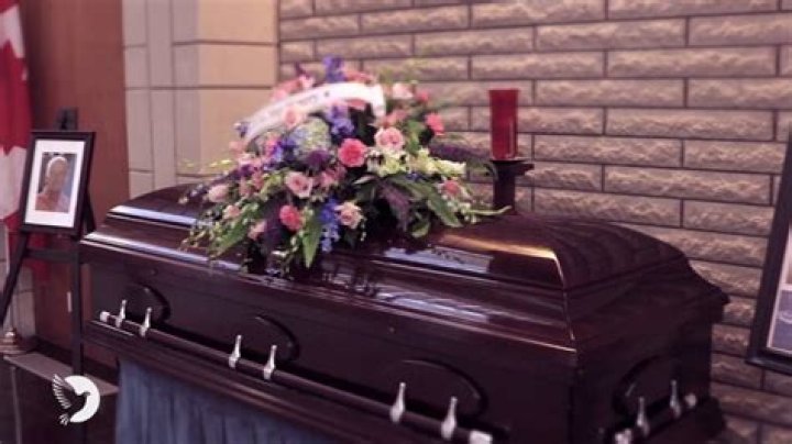 Vergina Mike Sebestyen Obituary And Death Cause: Family Mourns The Loss