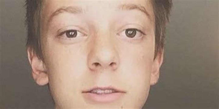 Weston Kourys biography: age, dad, birthday, gender