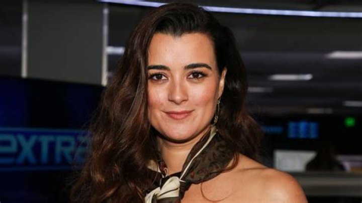 What Is Cote De Pablo Doing Now?